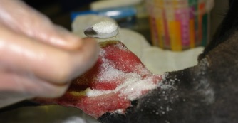 Cukor a gy&oacute;gy&iacute;t&aacute;sban!