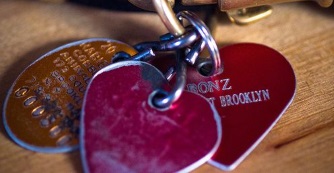 F&ouml;ld&ouml;n, v&iacute;zen, levegőben: kuty&aacute;val utazunk